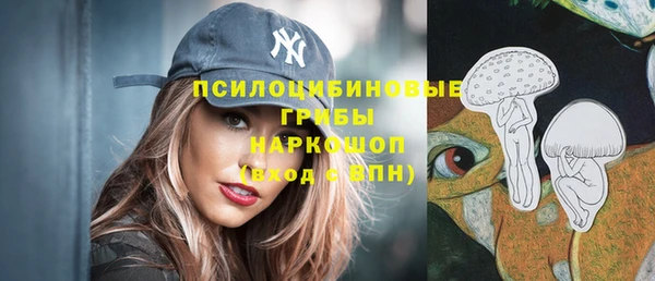 метамфетамин Елизово