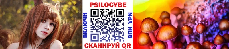 даркнет состав  Похвистнево  Псилоцибиновые грибы Magic Shrooms 