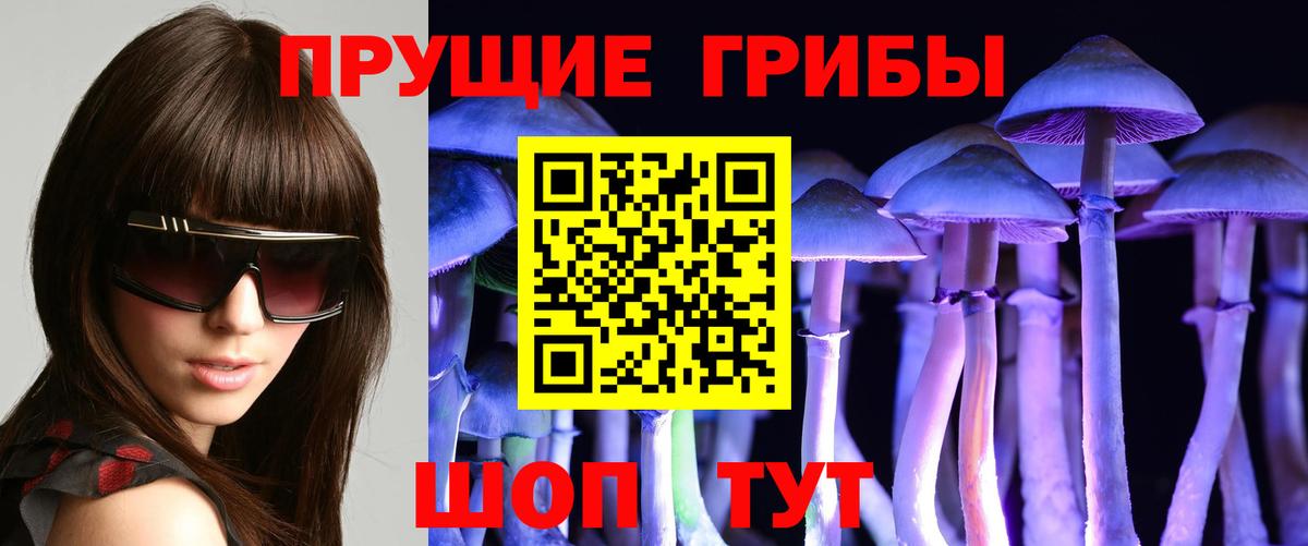 Псилоцибиновые грибы мухоморы  Псилоцибиновые грибы Psilocybine cubensis  Вход с VPN  купить наркотики цена  Похвистнево 